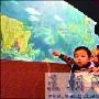 广州海洋馆于昨晚试开夜场（图） 动物世界