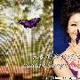 胡可幸福女人（2 ／8张）        胡可怀孕七个月大肚 明星_娱乐报道
