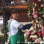 杨子漂亮老婆（5 ／6张）      杨子妻女生活私密照曝 明星_娱乐报道