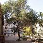 赵本山被指移民加拿大(资料图)（2 ／4张）    赵本山 明星_娱乐报道