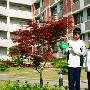 林峰黄宗泽因伤缺席宣传 粉丝失望嘘声四起(图)