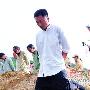 《巾帼枭雄2》开播收视不俗 演员剧情都给力