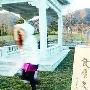 清明节探秘明星墓地 生前风光死后仍显贵(组图)