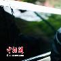 Trip-hop鼻祖Tricky登张北音乐节 崔健盼同台