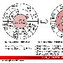 《尖刀战士》动作场面炫目 叶璇打戏精彩(组图)