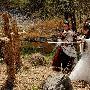 《大玩家》映前推手机游戏 片方重视衍生品开发