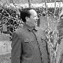 《毛岸英》央视将播 荧屏首次展毛氏父子故事
