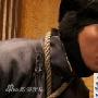 《让子弹飞》亮男色牌 陈坤胡军姜武遭“虐待”