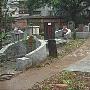 遭中国首富公子炮轰造谣 张兰：做好自己就行了