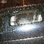 莫少聪黑夜乘警车离开看守所 被曝将火速复工