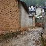 黄渤领衔《蛋炒饭》 坦言做爸爸感觉挺好(组图)