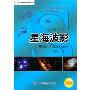 桑兰官司未完启程回国 代理律师曝其曾想做二奶