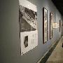 倪萍首开个人画展 众多国画作品曝光