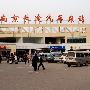 佟大为曝应采儿已怀孕 经纪人否认：正在努力中