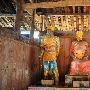 阿兰回国发展签新东家 苍井空中文送祝福(图)