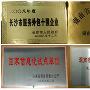 金球奖提名揭晓 《十三钗》入围最佳外语片
