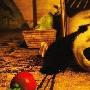 《功夫熊猫2》还有续集 阿宝爸隐居青城山