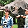 SJ始源喂大象香蕉 与东海比赛表演成名曲(图)