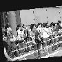 郭敬明上海签售新书 动用40位安保6小时签万本