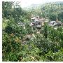 容祖儿呼吁勿迁怒菲佣 遭是非名媛炮轰(组图)