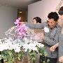 图文：开幕酒会-王敏德和马诗慧很好奇