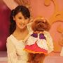 甘薇带名犬录大美人 何炅李晨讨教宠物之道