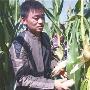 林志玲欠税官司败诉 王宝强回老家收玉米(图)