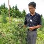 郭晶晶惨遭透视偷拍 霍启刚怒称无法容忍(图)