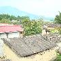 郑伊健慈善羽毛球赛 呼吁巿民举报偷拍(图)
