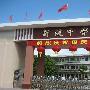 亚姐首穿泳装露面 防红外线偷拍特制泳衣(组图)