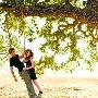 帕丁森与斯图尔特戏假情真传婚讯 爱巢曝光(图)