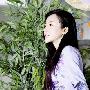 孙菲菲微博赋词显才情 高深影迷指点迷津(图)