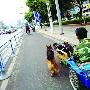 马景涛携80后嫩妻赴宴 儿子首次曝光(组图)