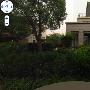 杨千嬅否认倒贴老公豪车 愿生一男一女(组图)