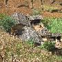 安以轩被曝不满大S疑友情破裂 讽其打肉毒杆菌