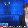 央视主播再出糗 欧阳夏丹出镜穿透视装(组图)