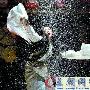 评委章子怡博客晒心中奥斯卡帝后名单(图)
