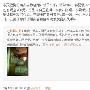 微博联播：陈砺志号召助盈江灾区 王珞丹等响应