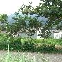 徐帆被误认日本地震灾民 只因剧照太过逼真(图)