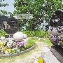崔真实与弟弟所葬墓园违法 两人墓地将迁移(图)