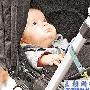 艾尔顿宠爱爱子 孕母每日快递新鲜母乳(图)