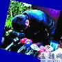 “毒星”放出来就没事 网友质疑业界太宽容