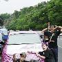 范玮琪恶搞黑人豪车 贴满粉红豹收罚单(图)