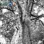 韩国女歌手被男友狂刺65刀身亡 年仅24岁(组图)
