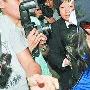 张柏芝胞弟炮轰谢霆锋太能装 历数姐夫三宗罪