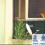 刘雪华首谈老公坠楼：怎能把我变白痴撒手不管