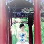 芙蓉姐姐青花瓷写真惊艳 清华园大摆POSE(组图)