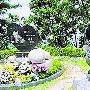 崔真实姐弟所葬墓园涉嫌诈欺 两人墓地将迁移