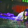 杨幂大S刘亦菲新老“倩女幽魂”比拼 看谁更勾魂