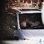 爱妻七夕与眼镜男车内激吻 高凌风淡然恐离婚